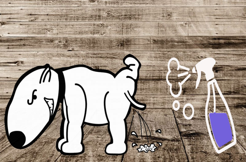 best dog urine odor remover