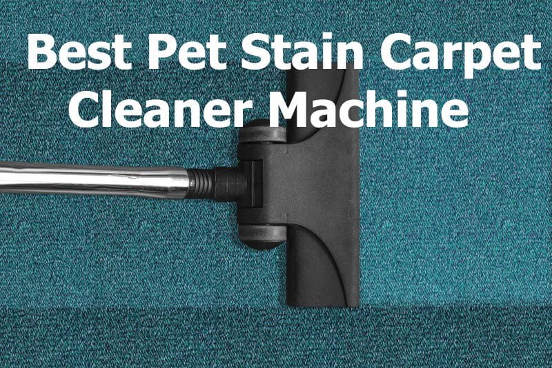 Best pet stain carpet cleaner machine