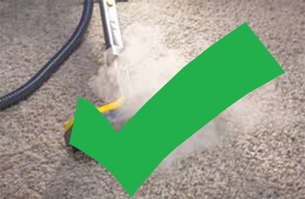 Does steam cleaning carpet remove stains