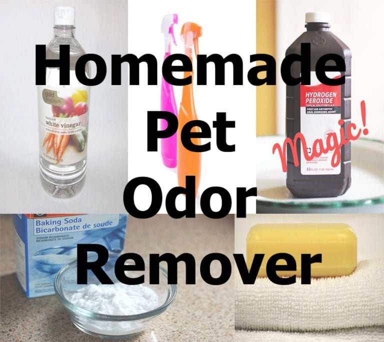 Homemade Pet Odor Remover For Carpet Cleaner