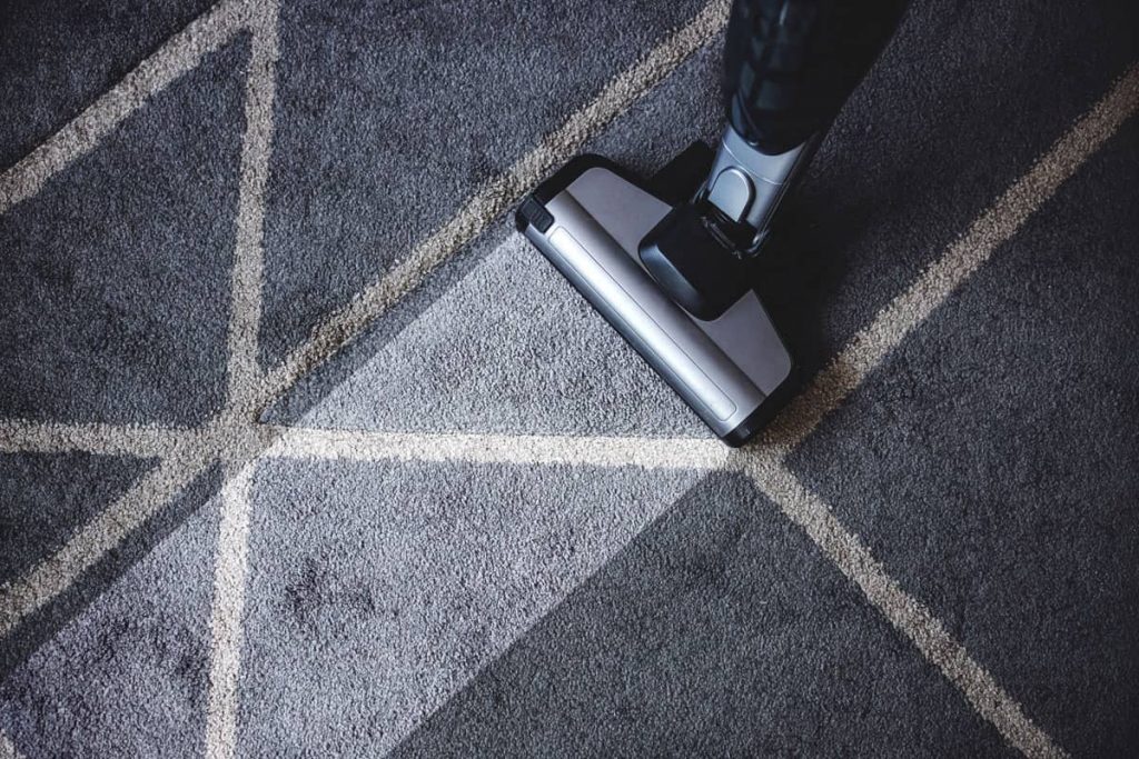 Best Carpet Steam Cleaner