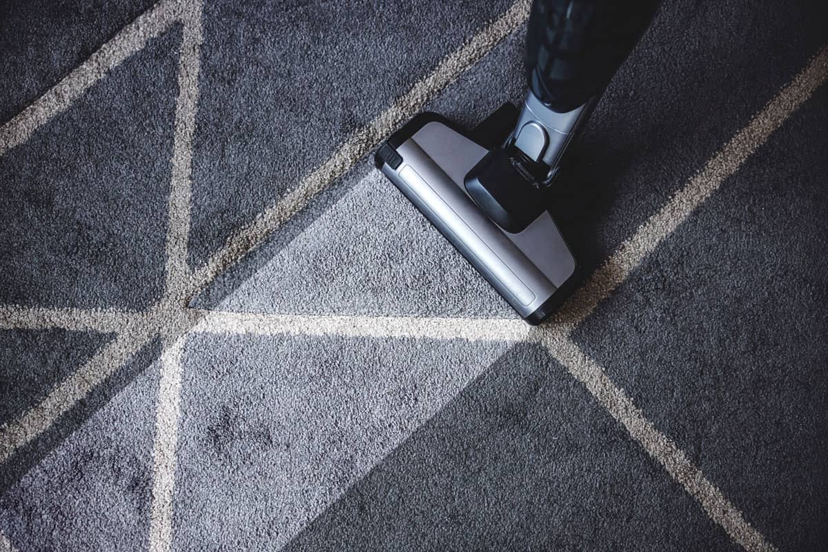 Best Carpet Steam Cleaner