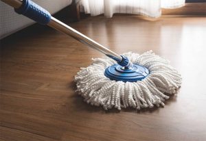 Top Spin Mop Reviews