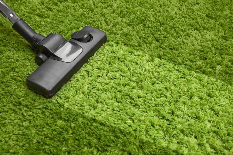 Best Area Rug Cleaner Machine
