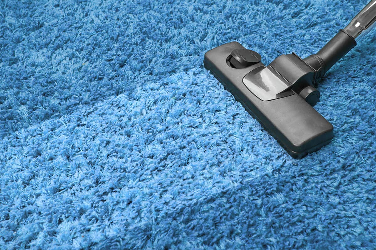 Best Vacuum For Vinyl Plank Floors and Carpet