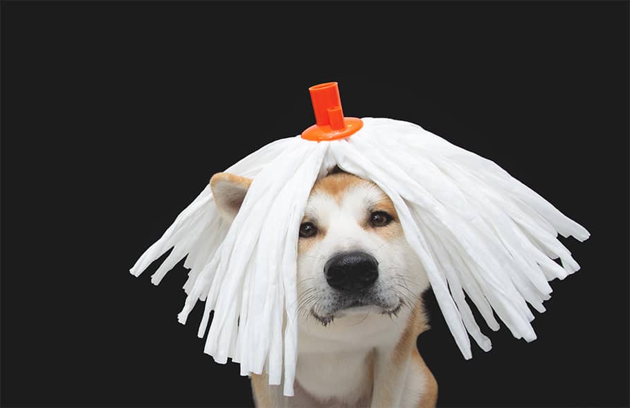 How to Remove O cedar Mop Head
